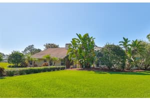 4502 OLD ORCHARD DRIVE, TAMPA, FL 33618 Sold 09/17/24