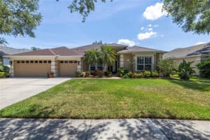 10254 SHADOW BRANCH DRIVE, TAMPA, FL 33647 Sold 06/04/24