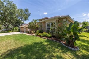 10254 SHADOW BRANCH DRIVE, TAMPA, FL 33647 Sold 06/04/24