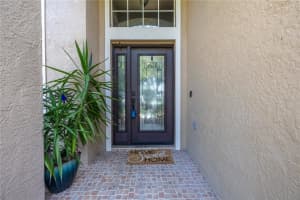 10254 SHADOW BRANCH DRIVE, TAMPA, FL 33647 Sold 06/04/24
