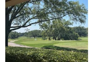 36750 US HIGHWAY 19 N #14103, PALM HARBOR, FL 34684 Sold 07/11/24