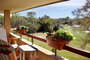 36750 US HIGHWAY 19 N #25301, PALM HARBOR, FL 34684 Sold 08/14/24