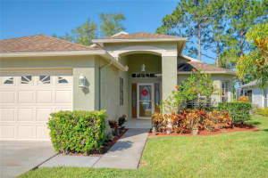 1411 HICKORY MOSS PLACE, TRINITY, FL 34655 Sold 06/28/24