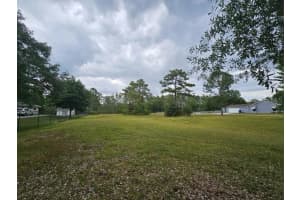 26707 GREEN WILLOW RUN, WESLEY CHAPEL, FL 33544 Sold 10/03/24
