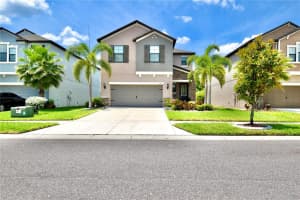 1323 FORT COBB TERRACE, WESLEY CHAPEL, FL 33543 Sold 06/14/24