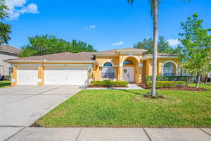 4241 ROTHERHAM COURT, PALM HARBOR, FL 34685 Sold 08/23/24