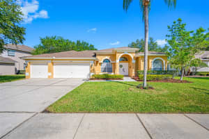 4241 ROTHERHAM COURT, PALM HARBOR, FL 34685 Sold 08/23/24