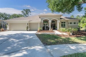 4189 MORENO DRIVE, PALM HARBOR, FL 34685 Sold 09/10/24