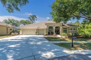 4189 MORENO DRIVE, PALM HARBOR, FL 34685 Sold 09/10/24