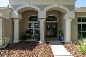 4189 MORENO DRIVE, PALM HARBOR, FL 34685 Sold 09/10/24