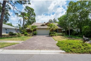 1637 PALOMINO DRIVE, TARPON SPRINGS, FL 34689 Sold 03/14/25