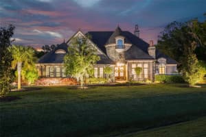 19109 MAGNOLIA FARMS LANE, ODESSA, FL 33556 Sold 09/30/24