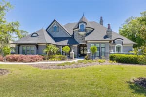 19109 MAGNOLIA FARMS LANE, ODESSA, FL 33556 Sold 09/30/24