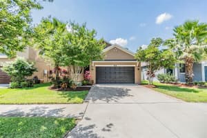 21286 WISTFUL YEARN DRIVE, LAND O LAKES, FL 34637 Sold 12/16/24