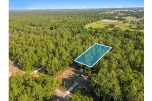 Lot #11 SW 9TH PLACE, OCALA, FL 34470 Sold 12/17/24