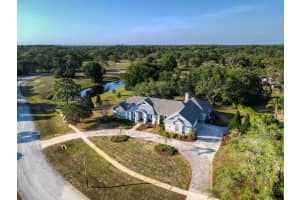 541 AUSTIN DRIVE, TARPON SPRINGS, FL 34688 Sold 11/08/24
