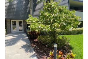 36750 US HIGHWAY 19 N #15-310, PALM HARBOR, FL 34684 - MLS#MFRU8242071