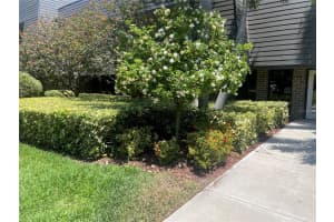 36750 US HIGHWAY 19 N #15-310, PALM HARBOR, FL 34684 - MLS#MFRU8242071
