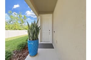 6046 GRAND SONATA AVENUE, LUTZ, FL 33558 Sold 11/26/24