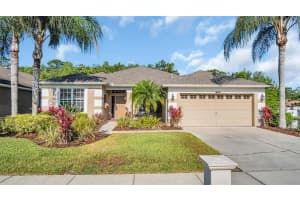 16306 NIKKI LANE, ODESSA, FL 33556 Sold 03/06/25