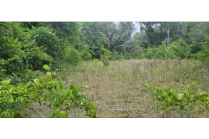 WPA RD, BROOKSVILLE, FL 34601 - MLS#MFRU8242303