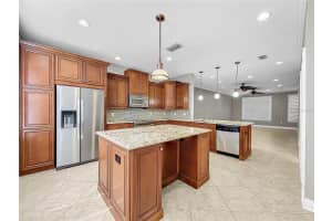 1220 CHATHAM PINE PLACE, BRANDON, FL 33511 Sold 06/11/24
