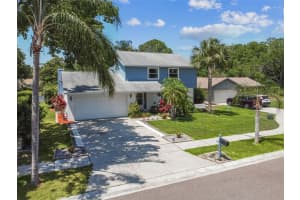 3227 OAKWOOD PLACE, TARPON SPRINGS, FL 34688 Sold 09/05/24