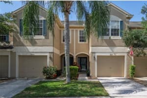 2830 CONCH HOLLOW DRIVE, BRANDON, FL 33511 Sold 07/12/24