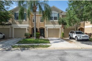 2830 CONCH HOLLOW DRIVE, BRANDON, FL 33511 Sold 07/12/24