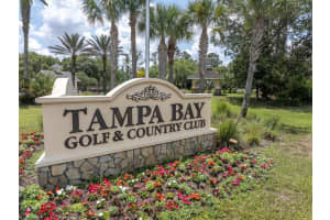 10727 DUCK HOOK COURT, SAN ANTONIO, FL 33576 Sold 04/11/25