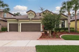13717 MOONSTONE CANYON DRIVE, RIVERVIEW, FL 33579 Sold 09/18/24