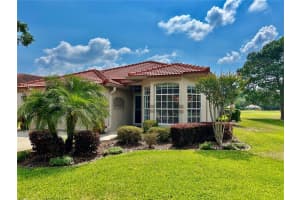 1194 DARTFORD DRIVE, TARPON SPRINGS, FL 34688 Sold 11/08/24