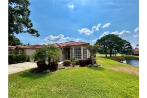 1194 DARTFORD DRIVE, TARPON SPRINGS, FL 34688 Sold 11/08/24