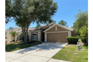 3141 BANYAN HILL LANE, LAND O LAKES, FL 34639 Sold 07/09/24