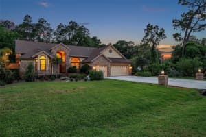 10706 ALICO PASS, NEW PORT RICHEY, FL 34655 Sold 07/01/24