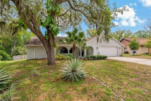 7301 CANVASBACK DRIVE, NEW PORT RICHEY, FL 34654 Sold 09/17/24