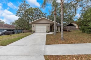 1118 LEMON STREET, TARPON SPRINGS, FL 34689 Sold 03/20/25