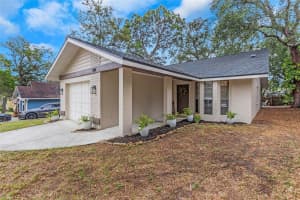 1118 LEMON STREET, TARPON SPRINGS, FL 34689 Sold 03/20/25