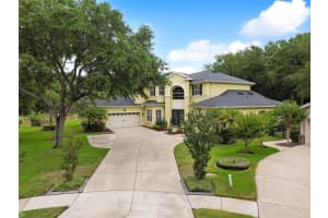 2102 CHESTNUT FOREST DRIVE, TAMPA, FL 33618 Sold 08/30/24