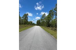 NW AMBERJACK AVE #Lot #33, DUNNELLON, FL 34431 - MLS#MFRU8243200