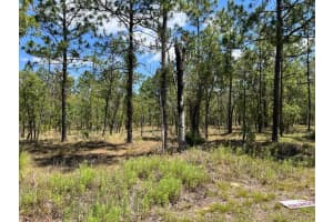 NW AMBERJACK AVE #Lot #33, DUNNELLON, FL 34431 - MLS#MFRU8243200