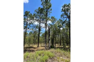 NW AMBERJACK AVE #Lot #33, DUNNELLON, FL 34431 - MLS#MFRU8243200