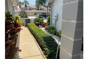 2576 PINE COVE LANE, CLEARWATER, FL 33761 Sold 07/12/24