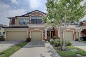 11539 CROWNED SPARROW LANE, TAMPA, FL 33626 Sold 07/02/24