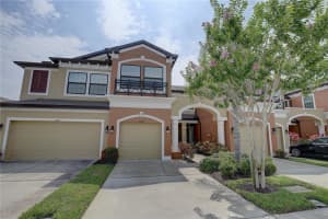 11539 CROWNED SPARROW LANE, TAMPA, FL 33626 Sold 07/02/24