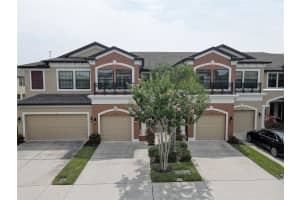11539 CROWNED SPARROW LANE, TAMPA, FL 33626 Sold 07/02/24