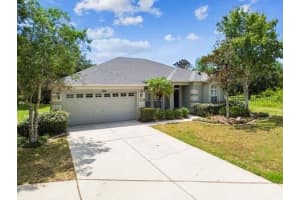 19100 TILOBE LOOP, LAND O LAKES, FL 34638 Sold 06/18/24
