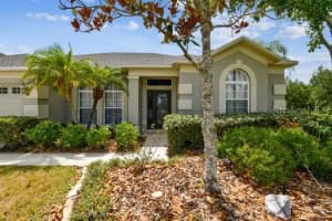 19100 TILOBE LOOP, LAND O LAKES, FL 34638 Sold 06/18/24