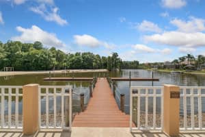11002 TAHITI ISLE LANE, TAMPA, FL 33647 Sold 07/23/24