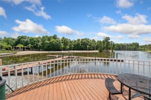 11002 TAHITI ISLE LANE, TAMPA, FL 33647 Sold 07/23/24